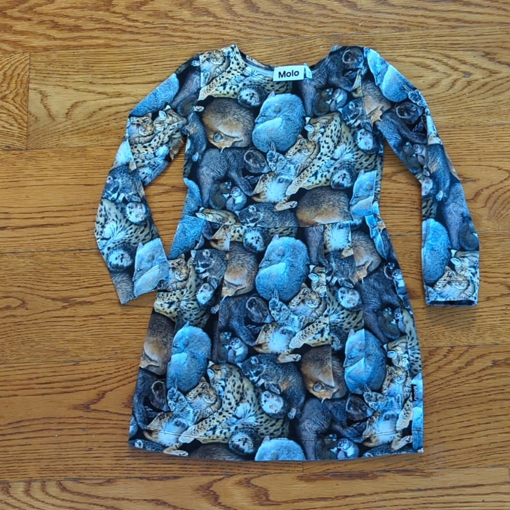 Molo Cinderella Hibernation Print Dress